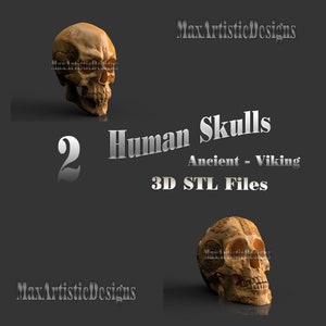 2 human skulls viking & Ancient 3d stl files for 3d printers ornamental - Digital Download