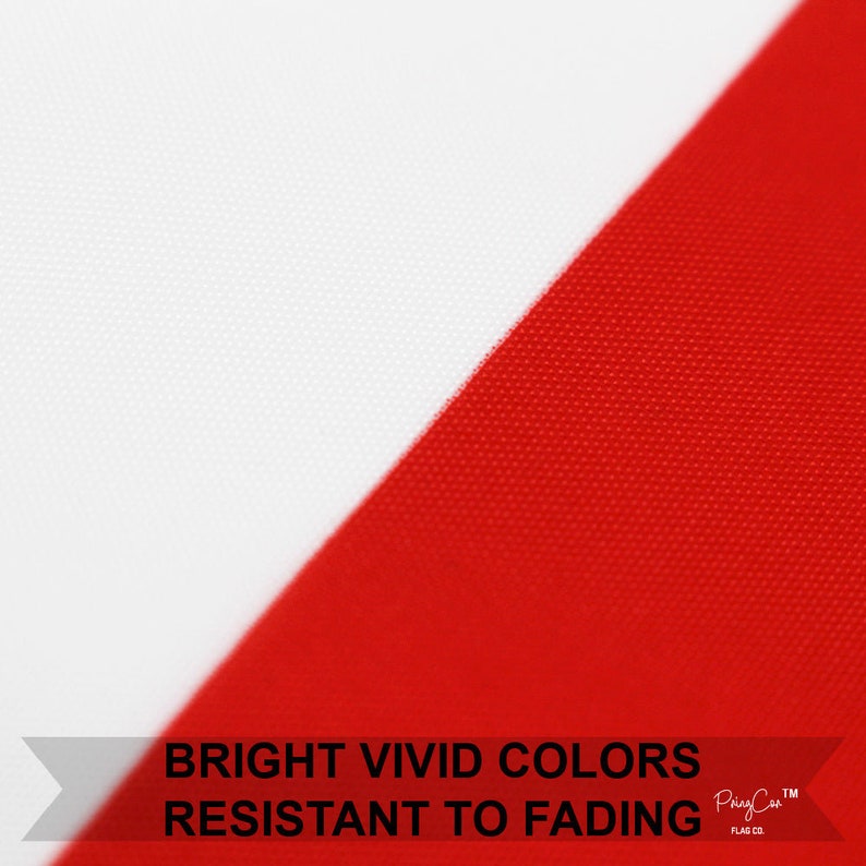 Large Flag Des Moines Flying Flag 3x5ft Banner IOWA Midwest Etsy