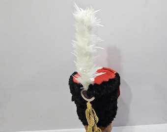 May include: A black and red hat with a white feather plume. The hat has a black fur trim and a gold tassel.