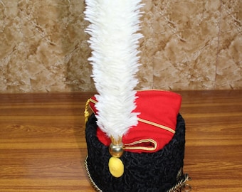 May include: A black and red hat with a white feather plume. The hat has a gold trim and a chain.