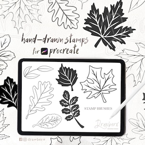 Fall Leaf Procreate Brushes / 53 hand-drawn autumn leaves stamp / brush set, falling maple leaf, veins, outline, nature, botanical stamps