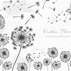 Blowing Dandelion SVG | Boho Wildflower Floral Border - Botanical Line Art Flower Cut File - svg, png, dxf, eps
