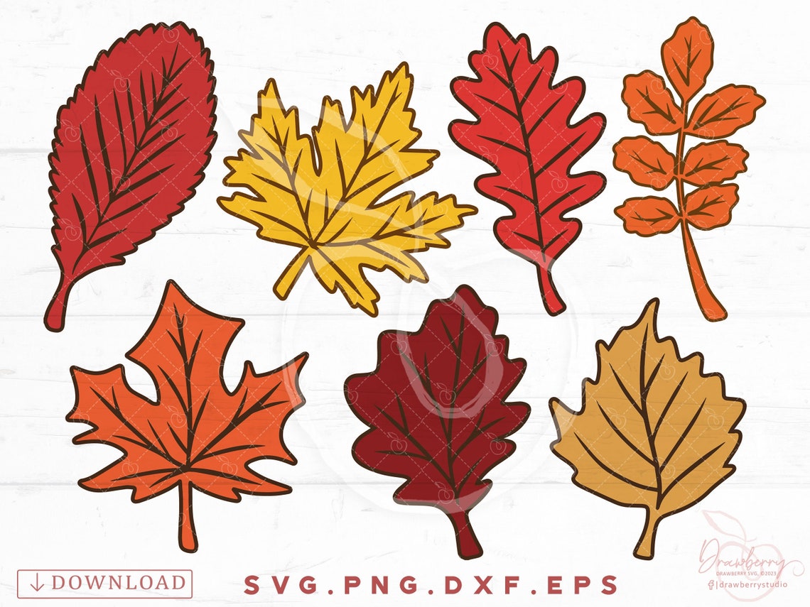 Fall Dxf Fall Leaf Svg, Autumn Leaves Png, Leaves Clipart, Thanksgiving Svg ...