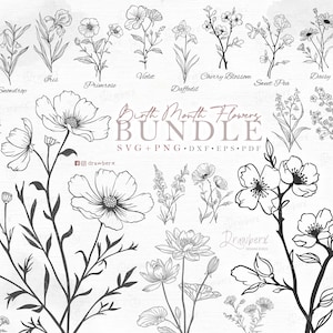Hand Drawn Birth Month flowers Svg,png bundle / 25 birthday flowers outline, botanical art, floral tattoo design, clipart, Cut File