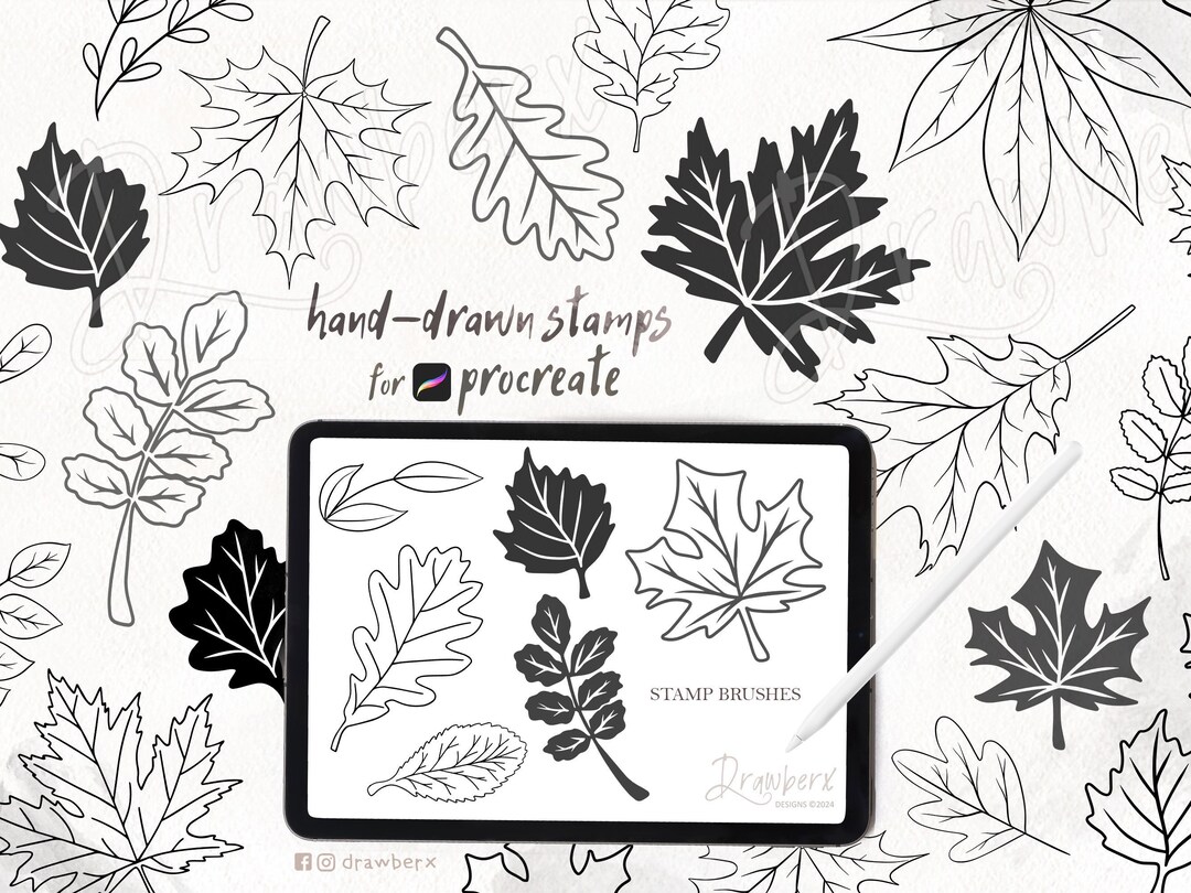 Fall Leaf Procreate Brushes / 53 Hand-drawn Autumn Leaves Stamp / Brush ...
