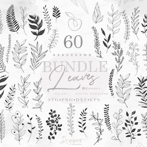 Leaf Branch Border Svg Bundle, Hand Drawn Foliage Leaves Svg, curved botanical Cut Files, Boho Vine, laurel leaf border / svg, png, dxf, eps