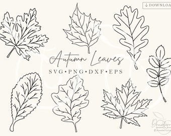 Fall svg Bundle, Hand Drawn Leaf, Fall Leaves Svg, png, dxf, eps, Minimalist, Hello Fall svg design, Cut files, autumn leaves, scandi svg