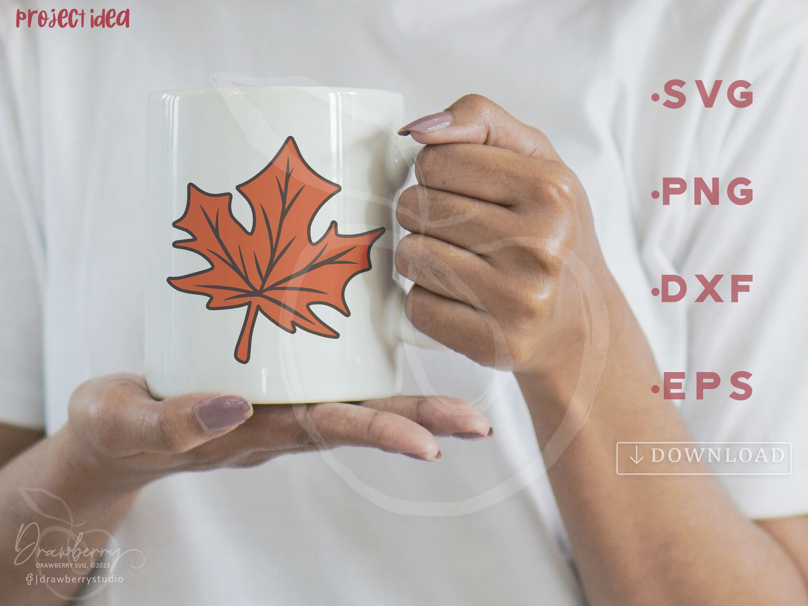 Fall Leaf Svg, Autumn Leaves Png, Leaves Clipart, Thanksgiving Svg ...