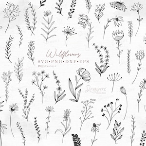 Wildflower floral svg bundle, doodle flowers svg, boho leaf branch svg, hand drawn, field of flowers line art, botanical /svg, png, dxf, eps
