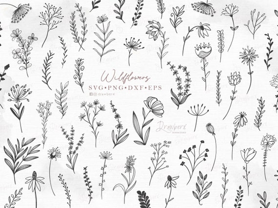 Wildflower floral svg bundle, doodle flowers svg, boho leaf branch svg, hand drawn, field of flowers line art, botanical /svg, png, dxf, eps
