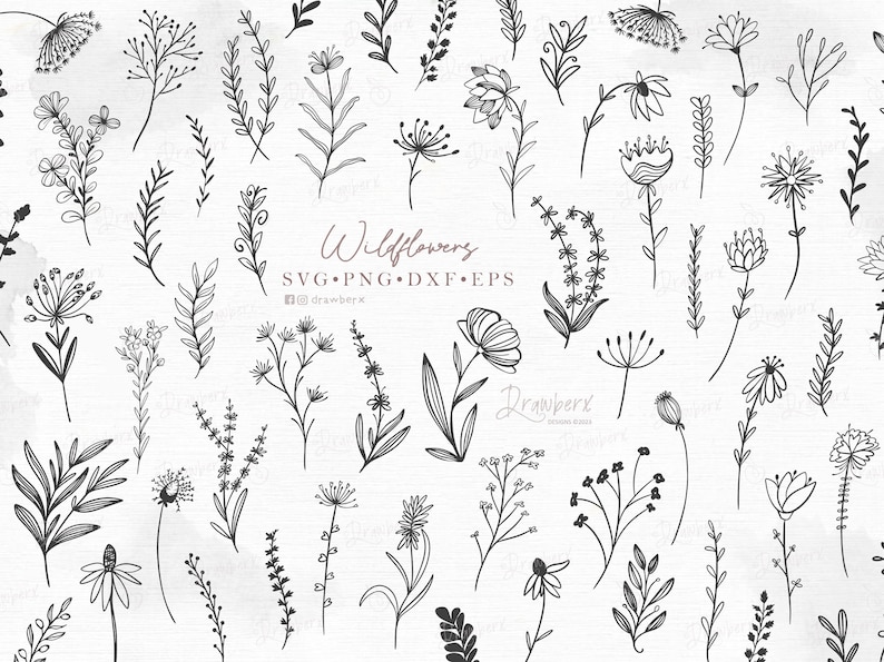 May include: A set of 40 black and white line drawings of wildflowers. The drawings are simple and elegant, and they would be perfect for use in a variety of projects, such as scrapbooking, card making, or digital design. The text "Wildflowers SVG PNG DXF EPS" is included in the image.