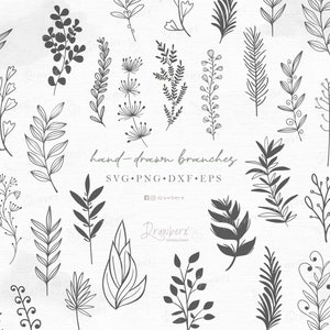 Puede incluir: Ilustraciones de ramas dibujadas a mano con diversas hojas y elementos florales. Los diseños son en escala de grises, con el texto "hand-drawn branches" y las opciones de tipo de archivo: SVG, PNG, DXF y EPS.