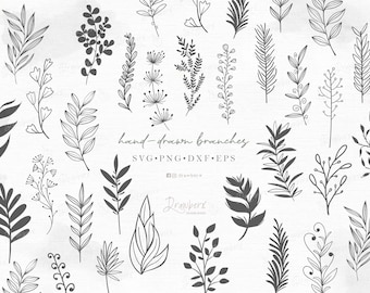 Flourish Leaf Stem svg, Hand drawn Leaves Border svg, Olive Branch svg, boho line art, Leaf Vine svg / laser Cut Files, Svg, Png, Eps, Dxf