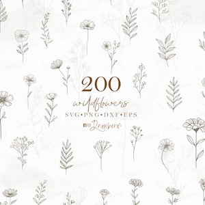 Hand Drawn Botanical SVG & PNG | 200 Wildflowers, Boho Branches, Floral Clipart | Doodle, Line Art, field of flowers / svg, png, dxf, eps