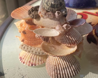 May include: A decorative sculpture made of various seashells. The sculpture features a spiral-shaped shell at the top, surrounded by an assortment of other shells in shades of beige, orange, and white. The shells are arranged in a stacked, layered design.