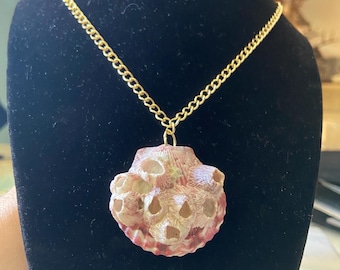 Seashell barnacle Necklace