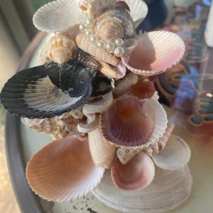 May include: A decorative seashell sculpture featuring a variety of shells in shades of white, tan, brown, and pink. The sculpture is adorned with a string of small, white pearls. The arrangement is a unique coastal-themed art piece.
