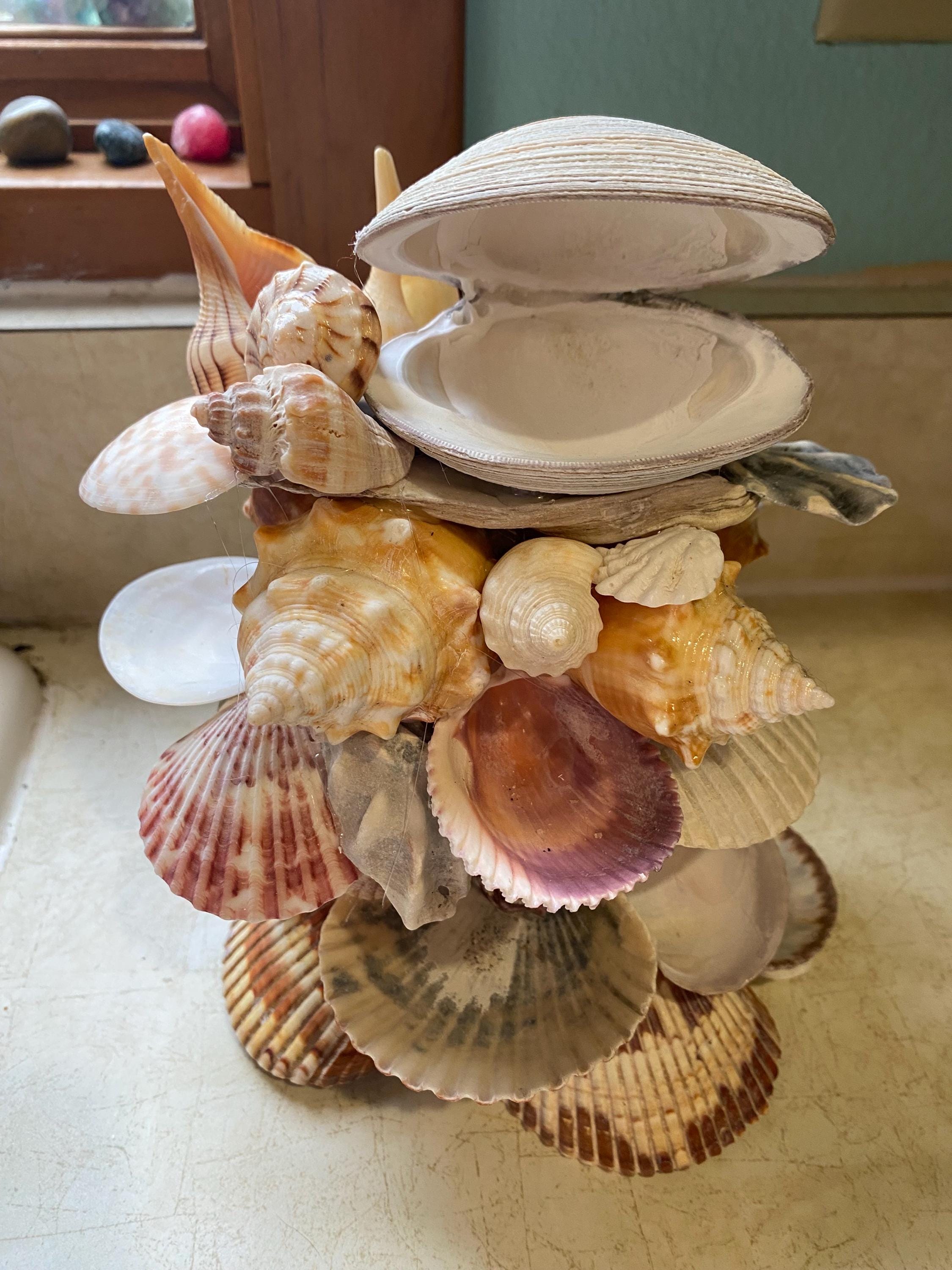Seashell jewelry holder, trinket holder, scallop, conch, oyster, real shells, handmade, one of a kind, unique gift, jewelry hanger, stunning