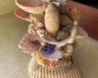 seashell jewelry holder, mermaid vibes, trinket dish, beach gift, ocean creations, scallop shells, fossils, shark teeth, beach gifts for her