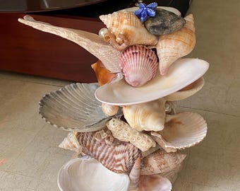 seashell jewelry holder, mermaid vibes, trinket dish, beach gift, ocean creations, scallop shells, fossils, shark teeth, beach gifts for her