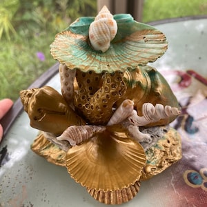 Seashell jewelry holder, trinket dish, scallop, conch, mermaid vibes, real shells, handmade, one of a kind, unique gift, jewelry hanger