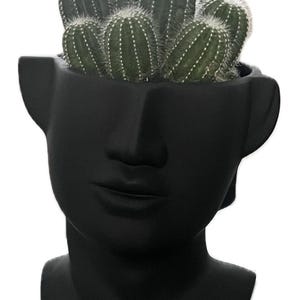 May include: A black ceramic planter shaped like a human head with a cactus plant growing out of the top.