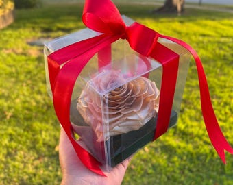 Single Preserved Rose, Clear Box, Handmade Forever Rose, Gift