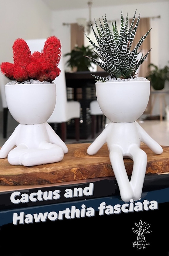 3D Face Planter Pot, Human Figure Ceramic Succulent Vase - Etsy