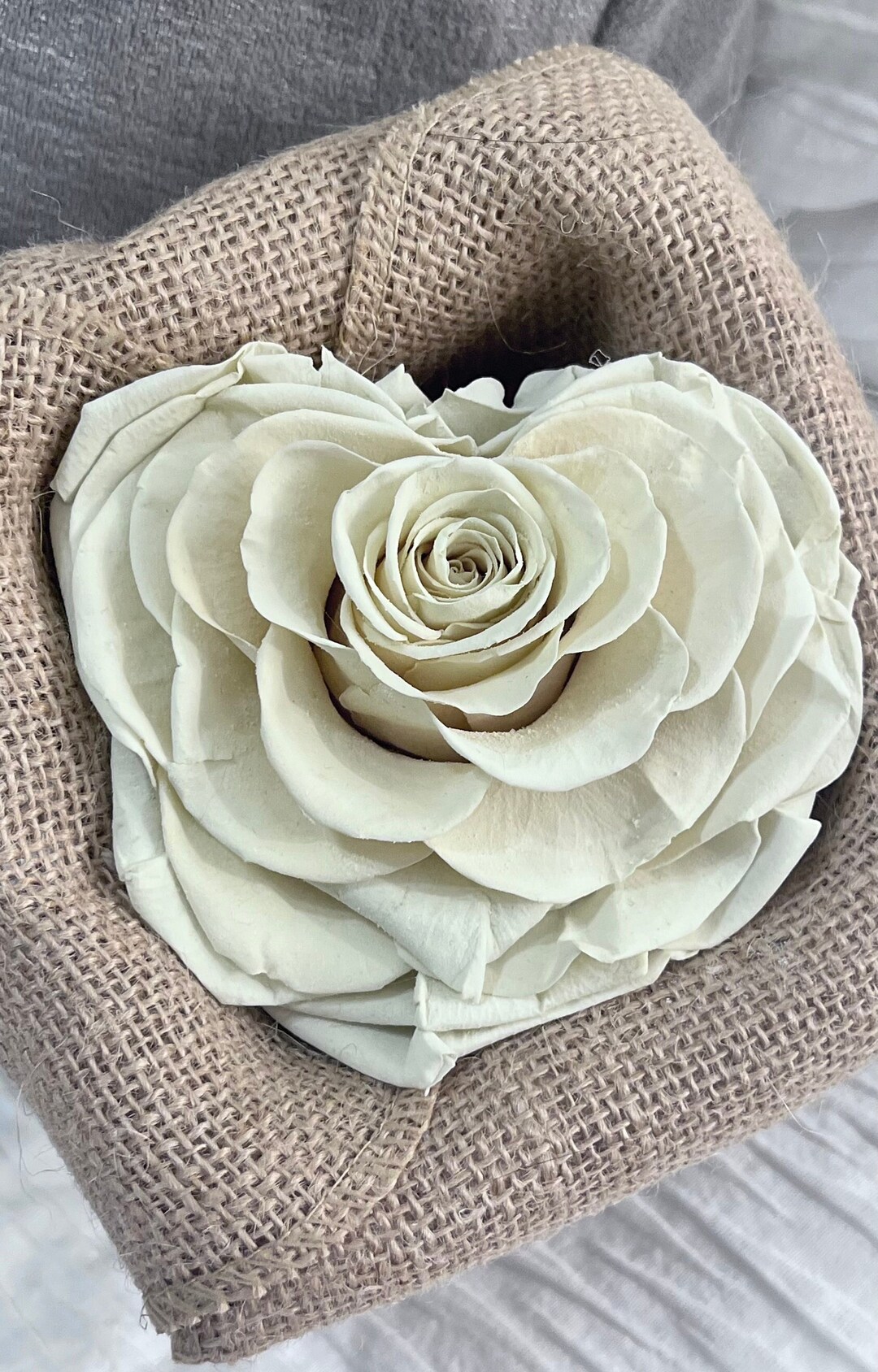 Preserved Rose Anniversary Gift- LABOR DAY SALE - Gift for Wife ...