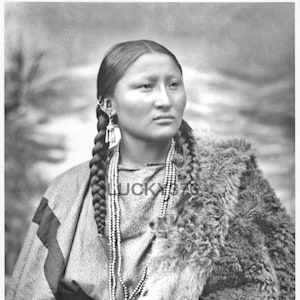 Arapaho Indian War Chief pretty Nose 1879 .