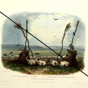 Offering of the Mandan Indians 1843