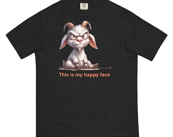 Uniseks kledingstukgeverfd zwaargewicht T-shirt