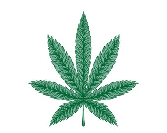 Weed leaf png marijuana leaf png pot leaf png