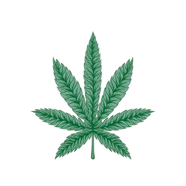 Weed leaf png marijuana leaf png pot leaf png