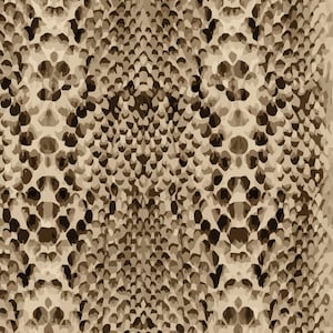 May include: A close-up of a brown and beige snakeskin pattern. The pattern is made up of small, overlapping scales.