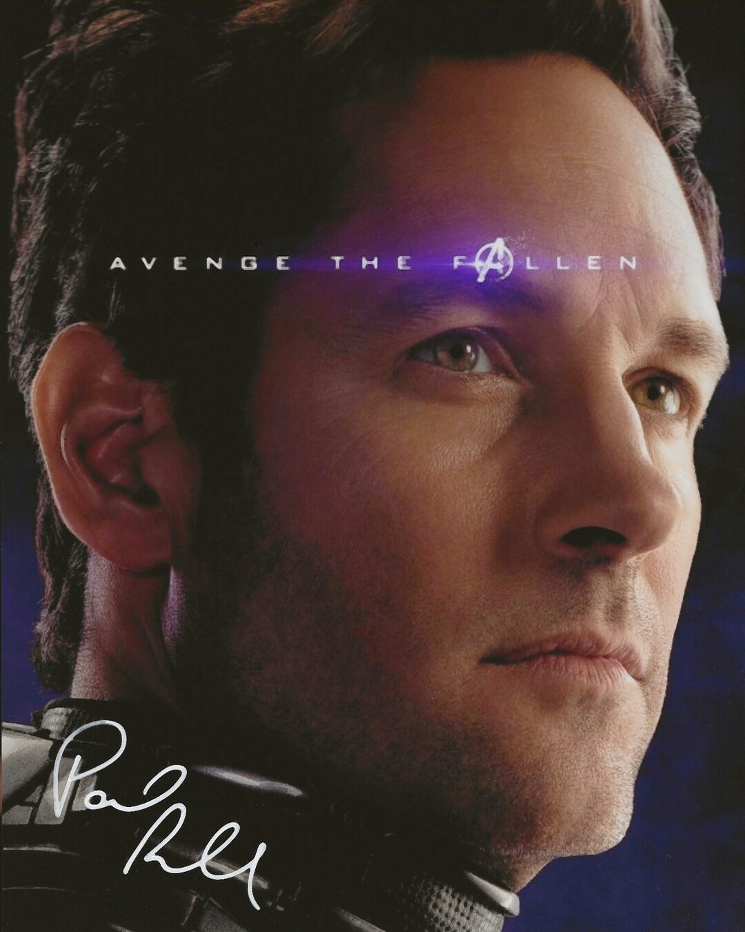 Paul Rudd Autograph Signed Photo Signature With COA - Etsy