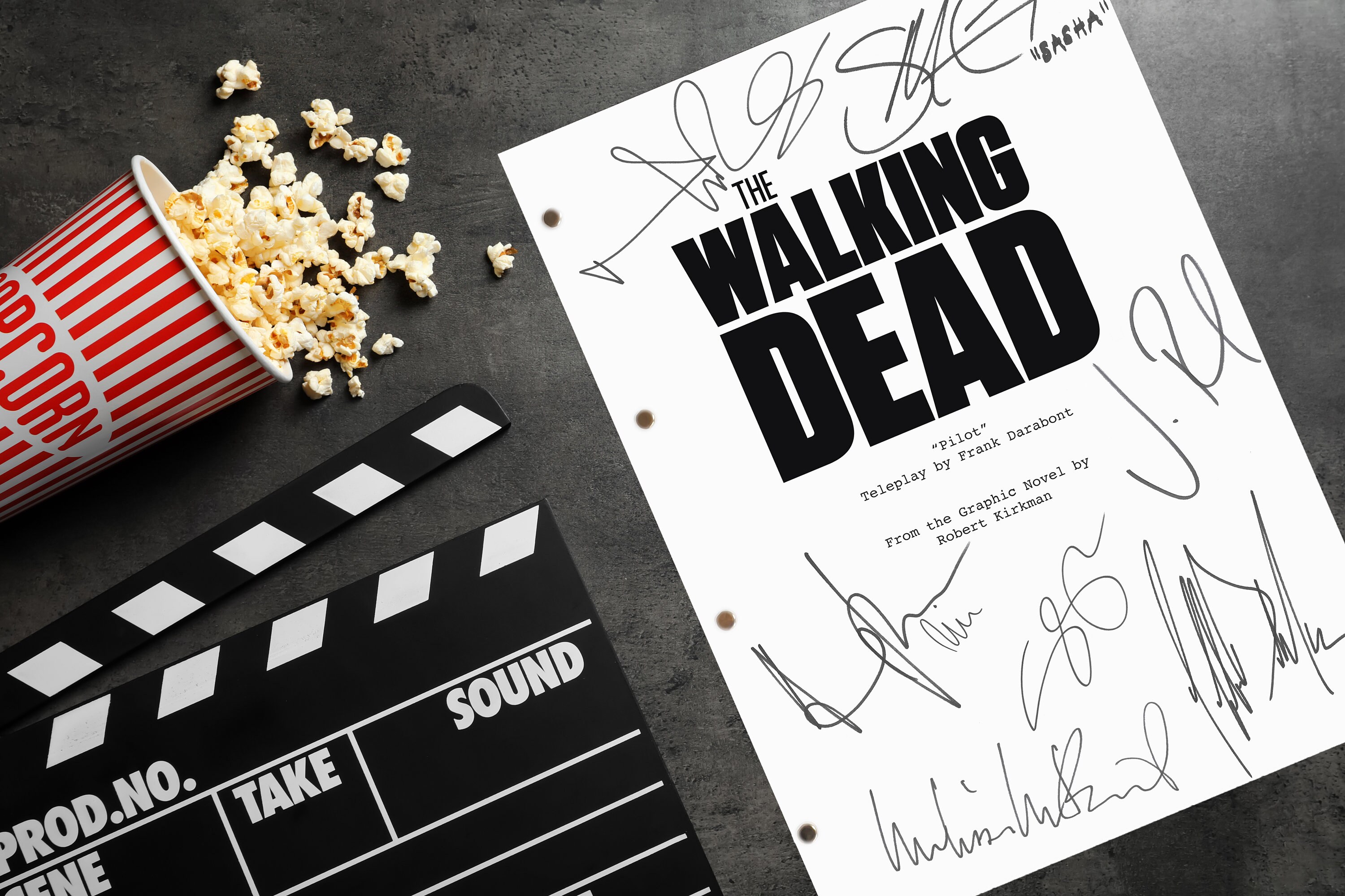 Walking Dead Script: The Walking Dead Transcripts – EMSRY