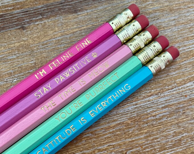 Personalized Pencil Set, get ready for back to school! (psst, great teacher gifts too!) (unicorn color set)
