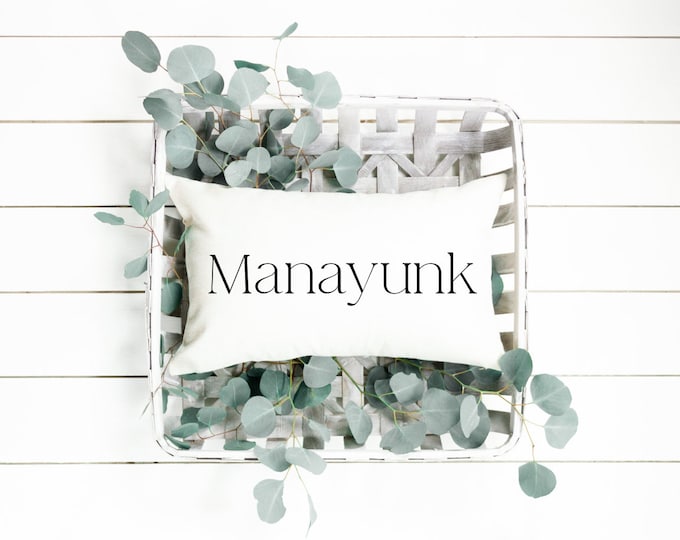 Manayunk pillow cover, 12x20, (insert included).  Great way to send some local love! Great Doylestown Christmas gift, housewarming gift.