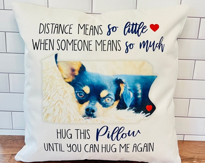 Pet Hugs from a Distance pillow cover, 16x16, (insert optional).  Great way to send some love when you can't be together with your pet