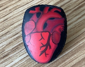 Pines anatómicos de corazón