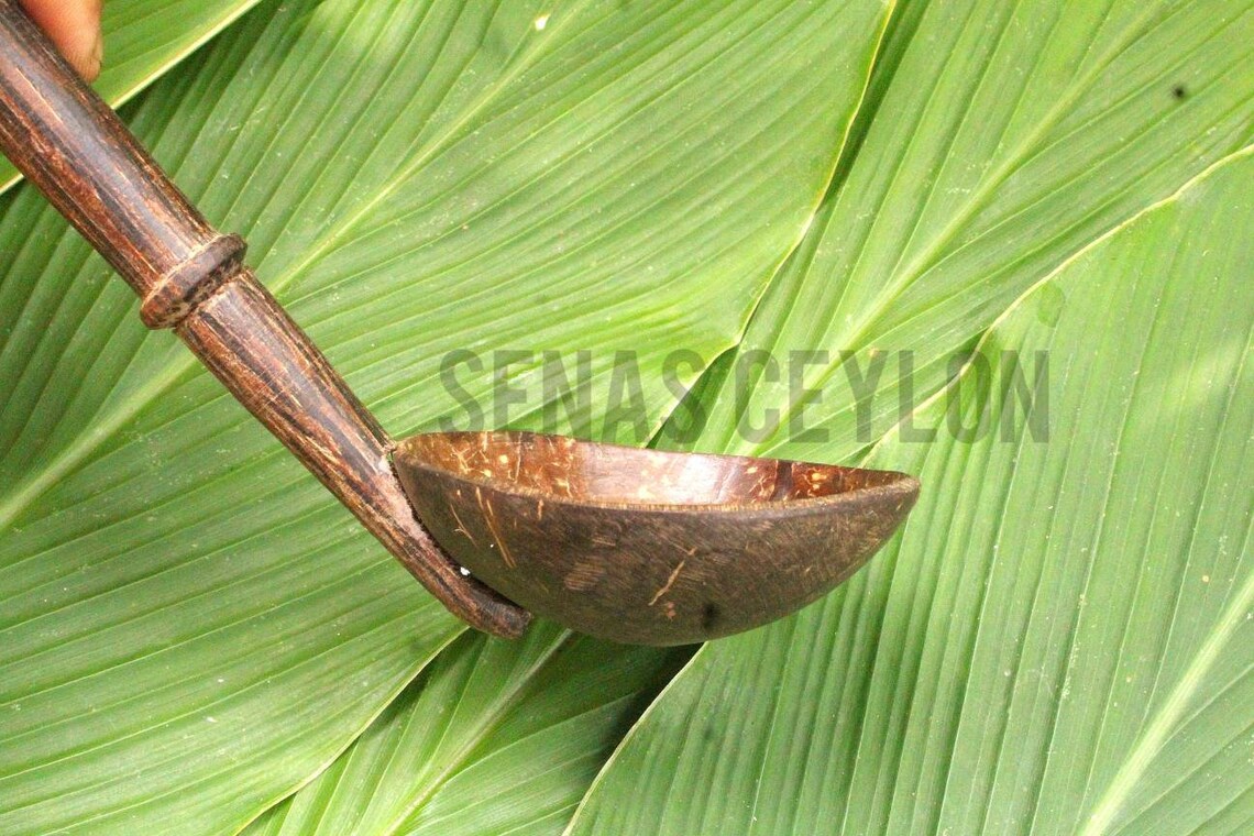 Coconut Spoon Naturally Made by Ceylon Fishtail Plam kithul Etsy