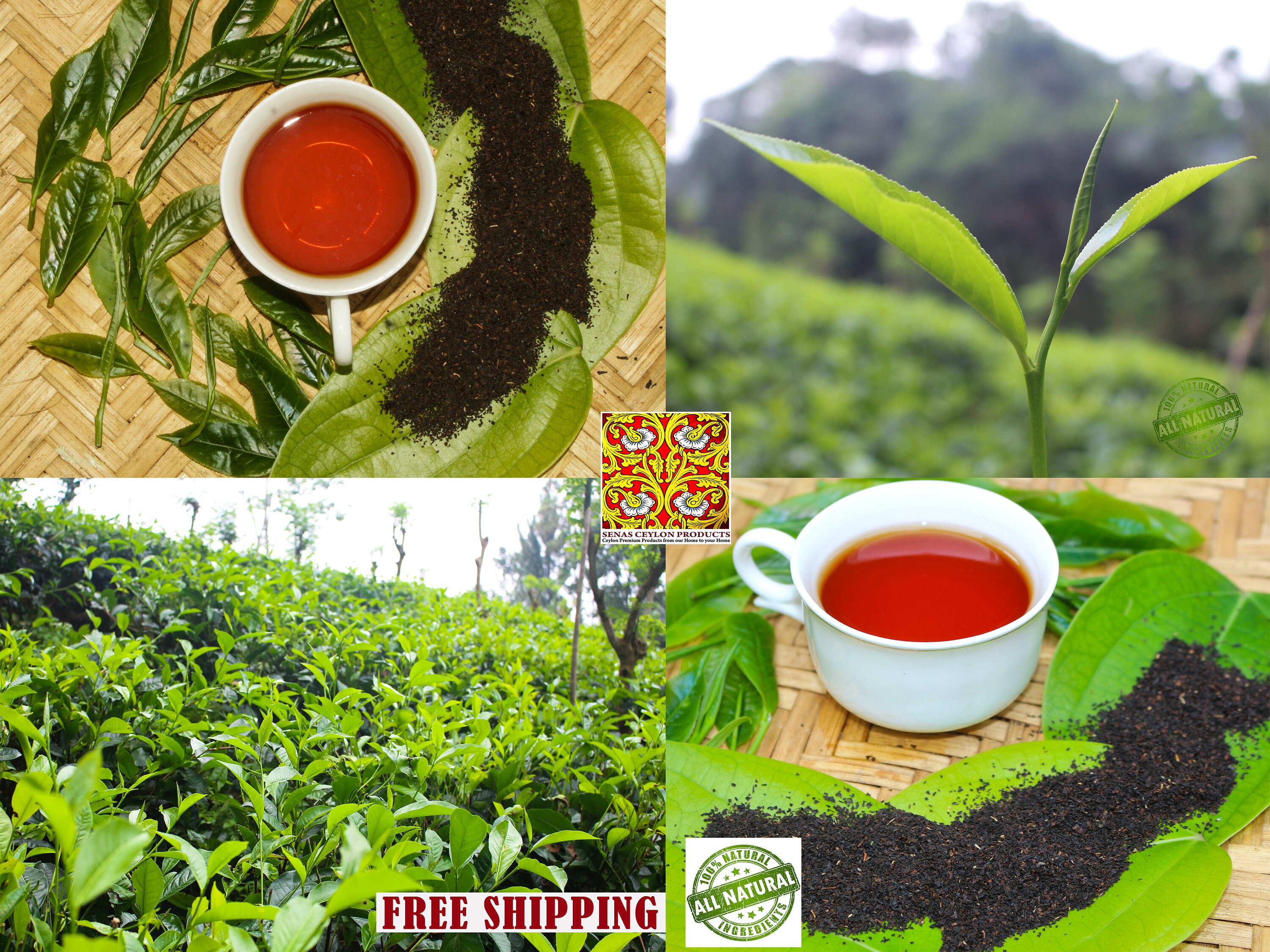 Home made Black Tea Ceylon organic tea Sri Lankan Tea Thé Etsy