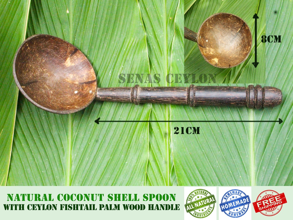Coconut Spoon Naturally Made by Ceylon Fishtail Plam kithul Etsy