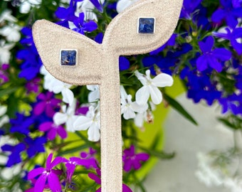 Square Silver/Gold plated handmade earrings with real dried flowers from the Holy Land, stud earrings , flower earrings