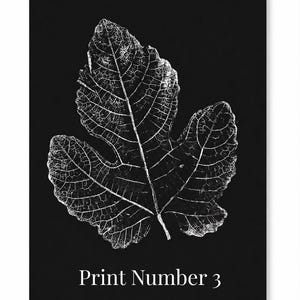 May include: A rectangular wall art print featuring a high-contrast white botanical illustration of a single fig leaf against a solid black background. The leaf displays intricate vein details. The text Print Number 3 is centered at the bottom.