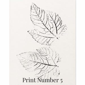 May include: A rectangular print on off-white paper featuring two black ink leaf impressions with visible vein structures. The text Print Number 5 is printed in a black serif font at the bottom center of the composition, clearly visible against the light background.