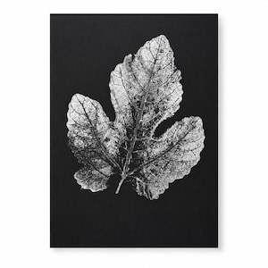 May include: A high-contrast art print featuring a detailed, silver-toned botanical leaf skeleton centered on a solid black background. The leaf displays intricate vein patterns and a textured surface, creating a stark visual contrast against the dark field.