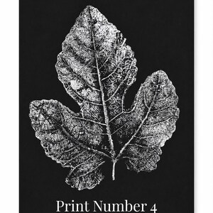 May include: A black and white botanical art print featuring a detailed, textured leaf illustration centered on a solid black background. Below the leaf, the text Print Number 4 is displayed in a clean, white, serif font, creating a high-contrast visual.