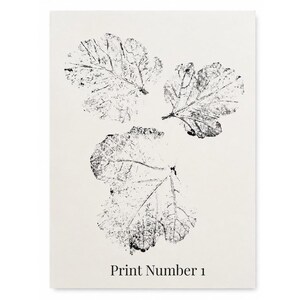May include: A rectangular art print on a light cream background featuring three black leaf imprints arranged in a cluster. The leaves display detailed vein structures and textured edges. The text Print Number 1 is centered at the bottom.